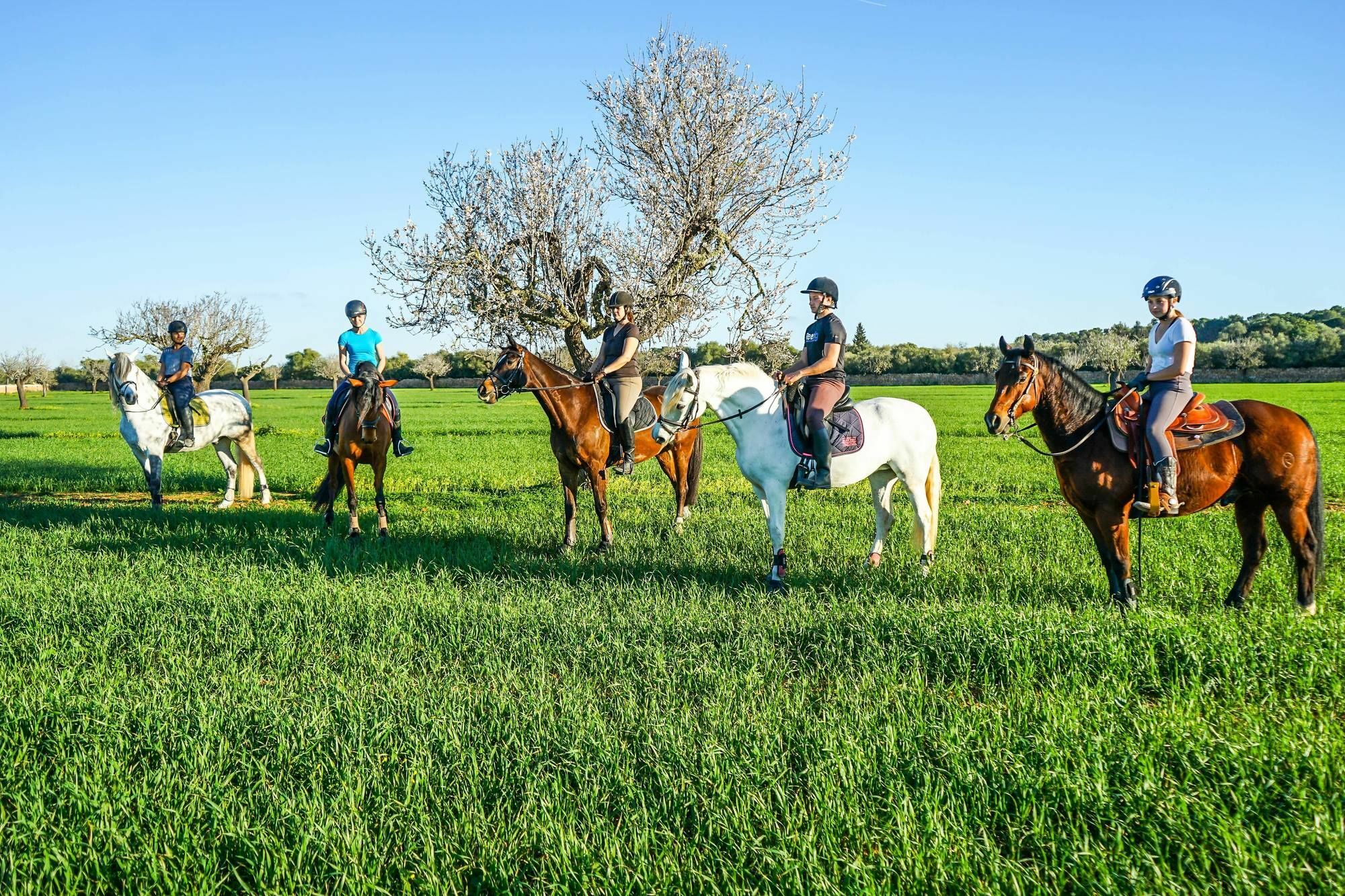 فيلا Vmg Horse Ranch (Adults Only) لوكماجور المظهر الخارجي الصورة